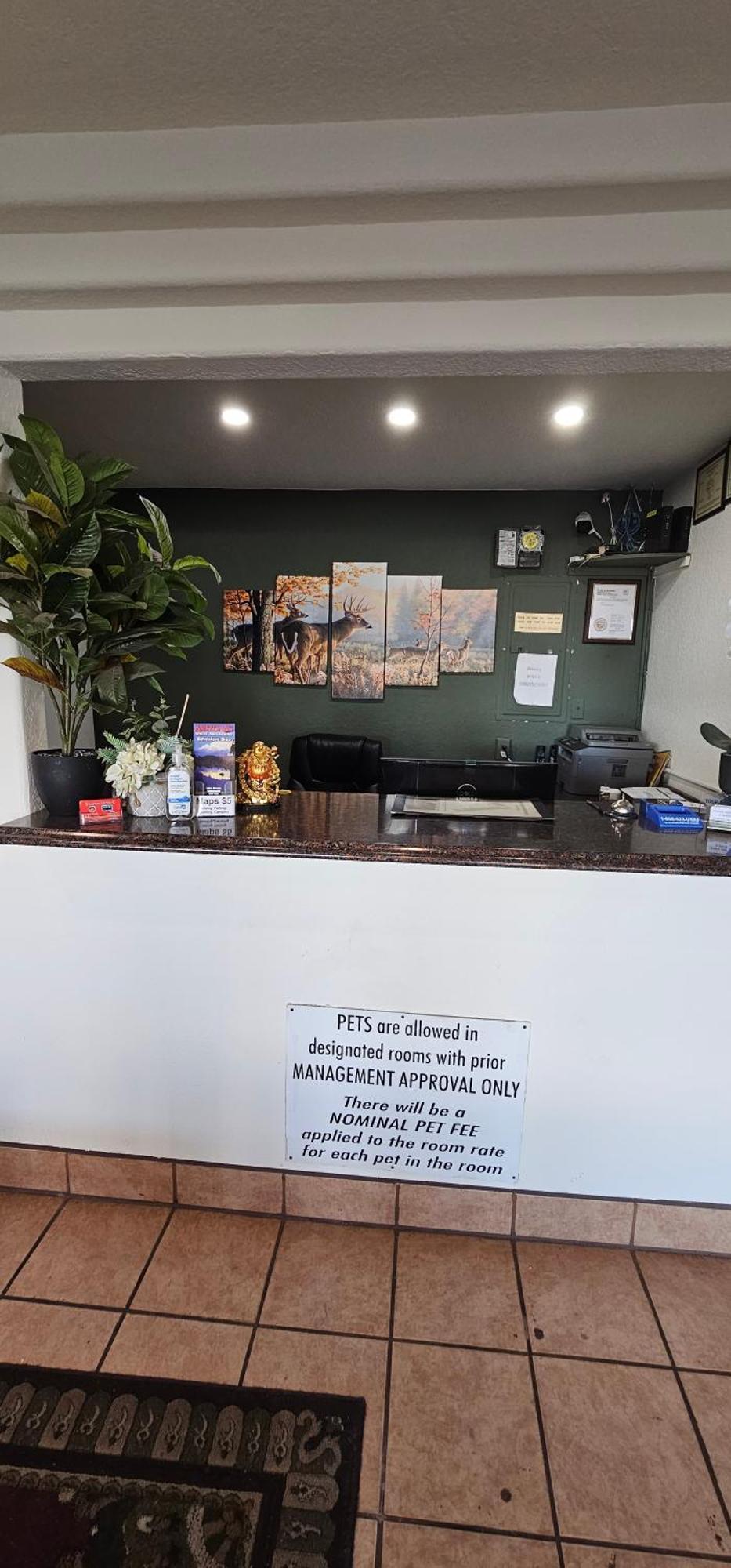 Travel Inn & Suite Springerville 外观 照片